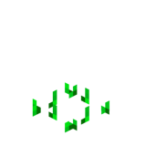 Рост свёклы (до Texture Update).png